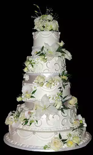 Play Wedding Cakes Ideas  and enjoy Wedding Cakes Ideas with UptoPlay
