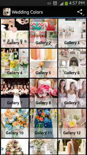 Play Wedding Colors