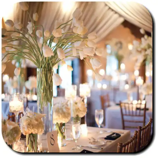Free play online wedding decorations APK