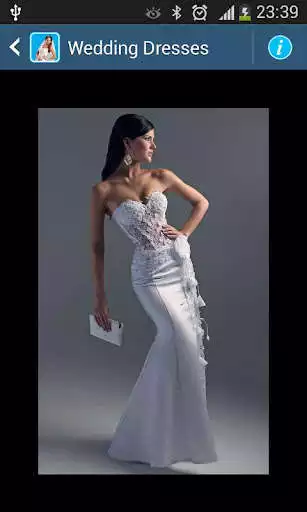 Play Wedding Dresses as an online game Wedding Dresses with UptoPlay