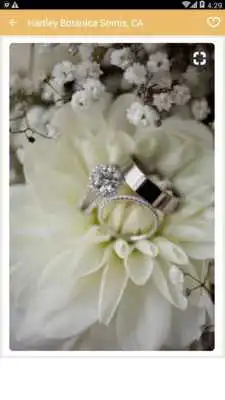 Play Wedding Rings Design