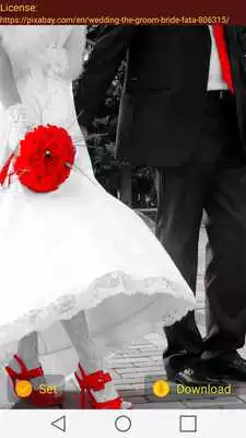 Play Wedding Wallpapers