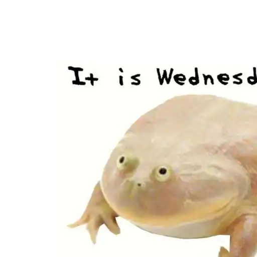 Play Wednesday Frog APK