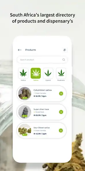 Play WEED BE HAVING IT as an online game WEED BE HAVING IT with UptoPlay