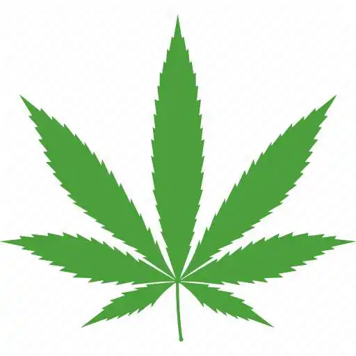 Play Weed Clicker APK