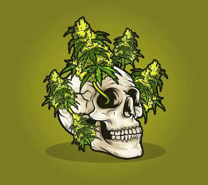 Play Weed Skull Wallpapers HD  and enjoy Weed Skull Wallpapers HD with UptoPlay