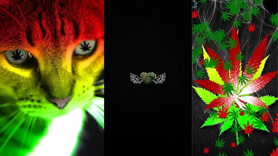 Play Weed Wallpaper HD 4K  and enjoy Weed Wallpaper HD 4K with UptoPlay