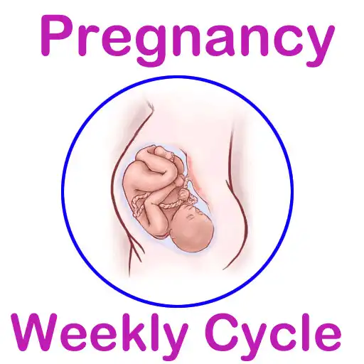 Play Weekly Pregnancy Cycle APK Play Weekly Pregnancy Cycle APK