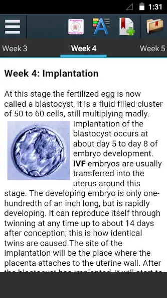 Play Weekly Pregnancy Cycle as an online game Weekly Pregnancy Cycle with UptoPlay