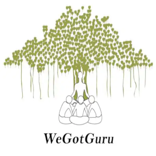 Play We Got Guru APK