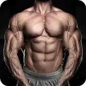 Free play online Weight Gain Fitness: At Home Gym Workout APK Free play online Weight Gain Fitness: At Home Gym Workout APK