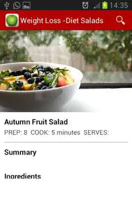 Play Weight Loss Recipes - Salads