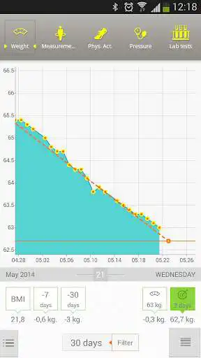 Play Weight Manager - Scaless