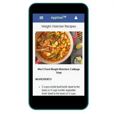 Play Weight Watcher Recipes