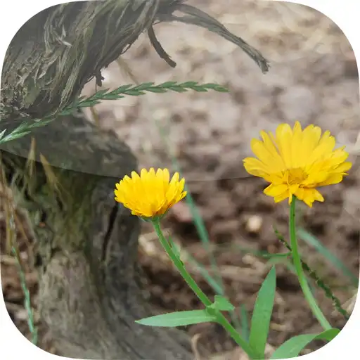 Play Weingut Kronenhof APK Play Weingut Kronenhof APK