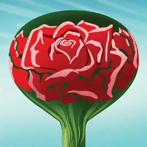 Play Welcome to Rosemont APK