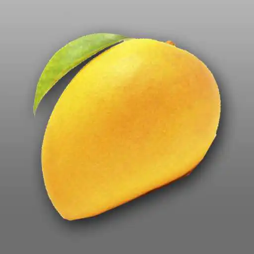 Play Welinton App APK