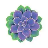 Free play online Wellness Origin APK