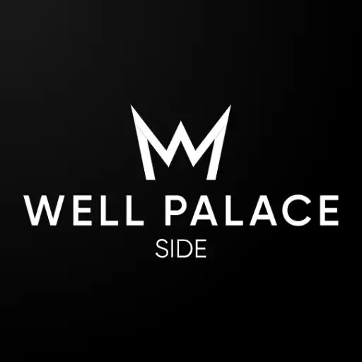 Play Well Palace Side APK Play Well Palace Side APK