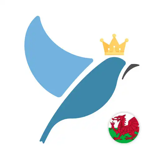 Play Welsh Language Tests APK
