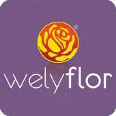 Free play online Welyflor WebApp APK Free play online Welyflor WebApp APK