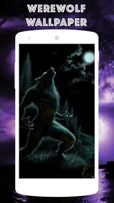 Play werewolf wallpaper - wolf Play werewolf wallpaper - wolf