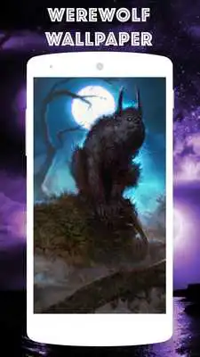 Play werewolf wallpaper - wolf Play werewolf wallpaper - wolf