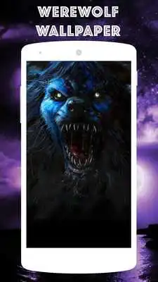 Play werewolf wallpaper - wolf Play werewolf wallpaper - wolf