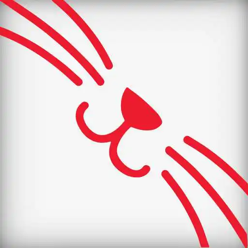 Play Westford TV APK