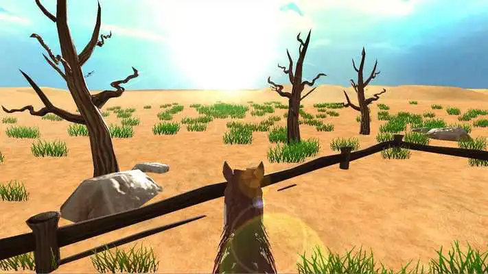 Play West Simulator Cardboard