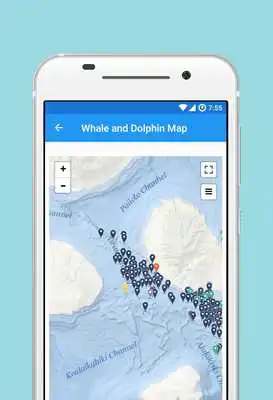 Play Whale and Dolphin Tracker (Legacy)