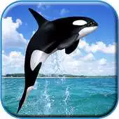 Free play online Whale Live HD Wallpaper APK