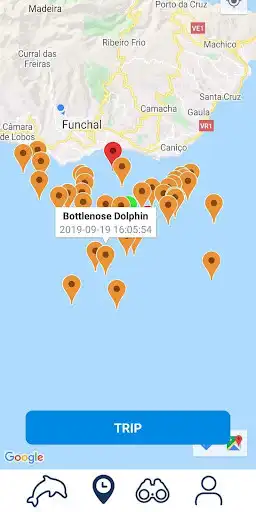 Play Whale Reporter  and enjoy Whale Reporter with UptoPlay