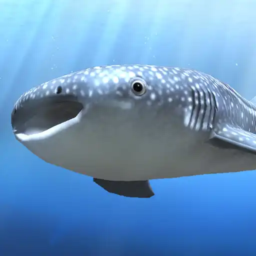 Play Whale shark that grows calmly APK