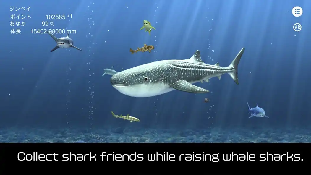 Play Whale shark that grows calmly  and enjoy Whale shark that grows calmly with UptoPlay