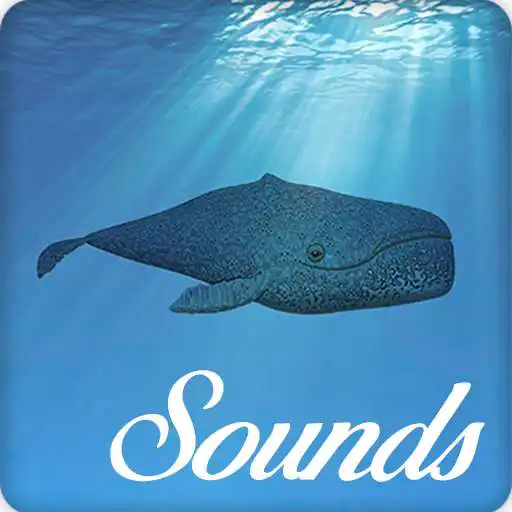 Play Whale Sounds and Ringtone Audio APK