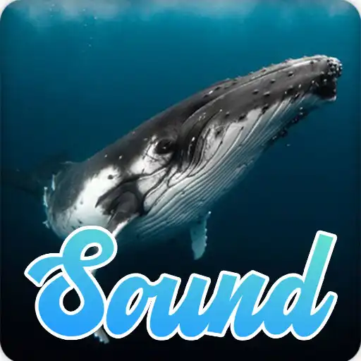 Play Whale Sounds Effect APK