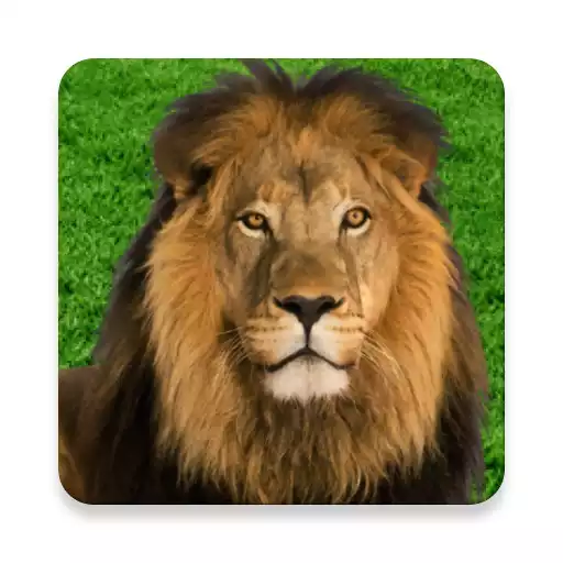 Play What Animal Are You? Personality Test APK
