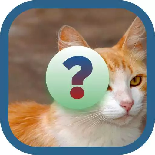 Play what animal is APK Play what animal is APK