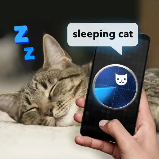 Play What Do Cats: Joke Radar APK