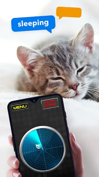 Play What Do Cats: Joke Radar  and enjoy What Do Cats: Joke Radar with UptoPlay
