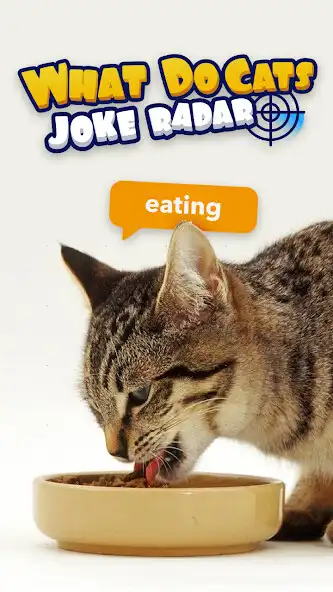 Play What Do Cats: Joke Radar as an online game What Do Cats: Joke Radar with UptoPlay