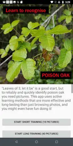 Play What does Poison Oak look like Training Game as an online game What does Poison Oak look like Training Game with UptoPlay