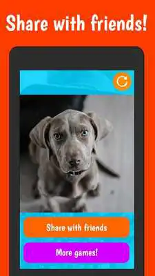 Play What Dog Am I? Selfie Game