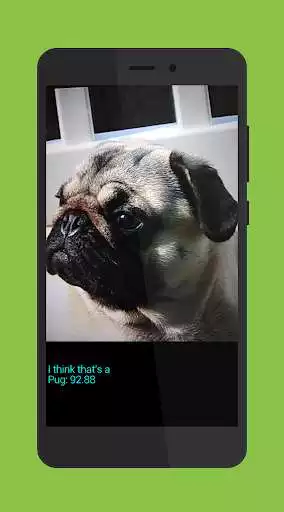 Play WhatDog and enjoy WhatDog with UptoPlay Play WhatDog and enjoy WhatDog with UptoPlay