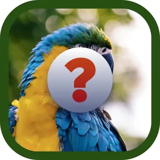 Play What do I Depict APK Play What do I Depict APK