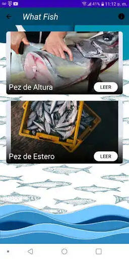 Play WhatFish as an online game WhatFish with UptoPlay