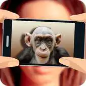 Free play online What monkey am I? APK
