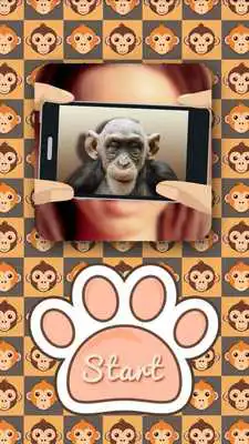 Play What monkey am I?