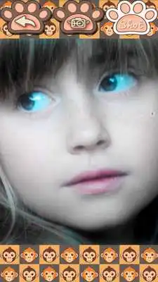 Play What monkey am I?